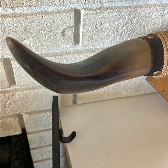 Decorative Wall-Mounted Bull Horns - Picture 3 of 9